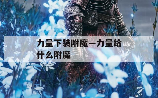 力量下装附魔—力量给什么附魔